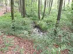 Ludergraben Quellgebiet