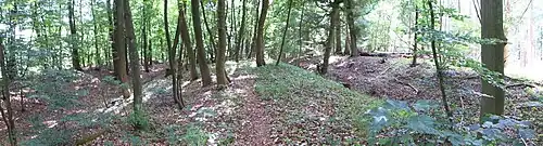 Lüneburger Landwehr