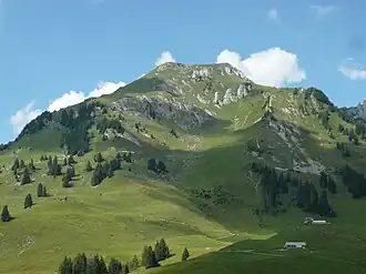 Der Lütispitz von Süden