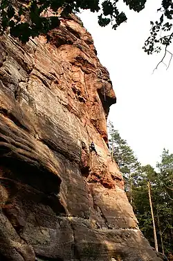 Luger Friedrich (Pfeilerweg, VI)