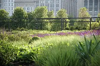 Bepflanzung im Lurie Garden Aufnahme: 2006