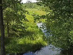 Quellgebiet der Lutter bei Weyhausen