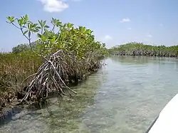 Biosphärenreservat Sian Ka'an