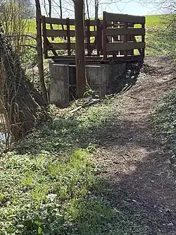 Mönch am Taschensee