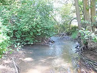 Mündung der Bieber in den Traisbach