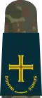 Evangelischer Pfarrer im Bereich Marineuniformträger