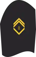 Dienstgradabzeichen eines Obermaats (20er Verwendungsreihe) auf dem Oberärmel der Jacke des Dienstanzuges für Marineuniformträger