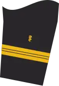 Dienstgradabzeichen auf dem Unterärmel der Jacke des Dienstanzuges für Marineuniformträger (Humanmedizin).
