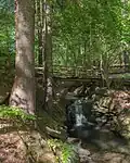 Schwarzbach nahe der Leichtweißhöhle