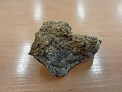 Granodiorit mit Gneisxenolith