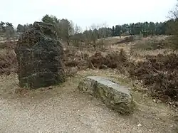 Menhir auf der Mechelner Heide