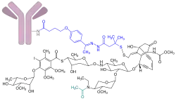 Inotuzumab-Ozogamicin