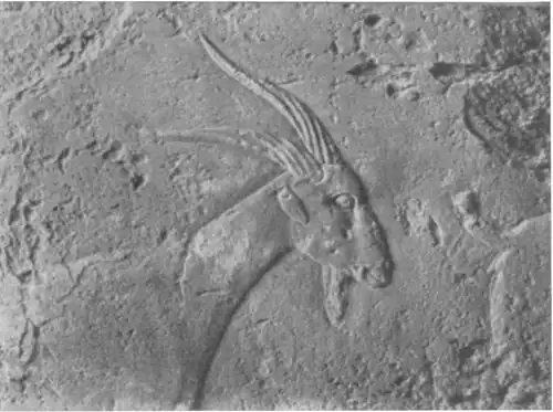 Wiederverwendeter Reliefblock des Alten Reichs