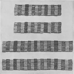 Arm und Fußbänder aus Grab 954