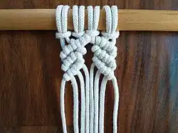 Einige Reihen von Rippen­knoten, vor…