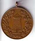 Medaille 1902 Dohna, Vorderseite mit Burgturm