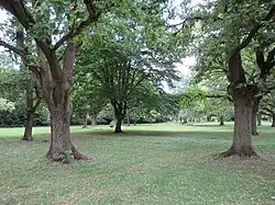 Massengräber Bombenopfer Magdeburg Westfriedhof
