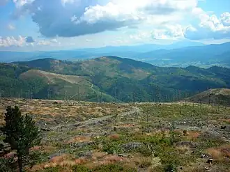 Blick vom Barania Góra