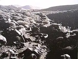 Bild 1: Die Straße des Königs – Kral Yolu, 2005