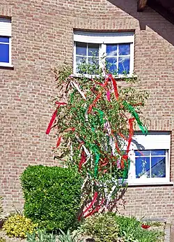 Mit Krepppapier geschmückter Ast einer Birke