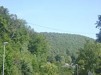 Mainzer Berg von Weidenthal aus betrachtet