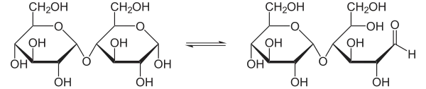 Gleichgewicht zwischen zyklischer und offener Form von Maltose