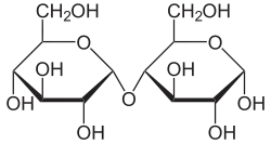 Struktur von Maltose