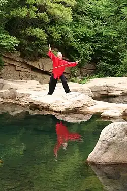 Sonder­schwertform&nbsp;&nbsp;11[11]