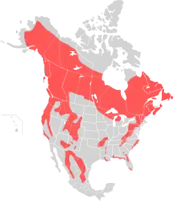American black bear range