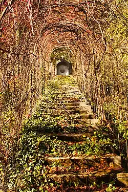 Treppe durch die Pergola im Park der Marienburg