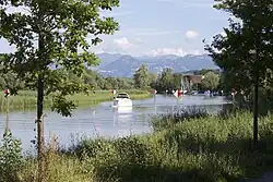 Alter Rhein bei Altenrhein
