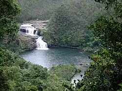 Die Inseln Amami-Oshima, Tokunoshima, Iriomote und nördlicher Teil der Insel Okinawa