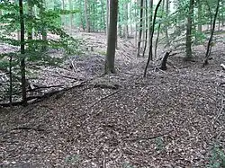 Runse oberhalb der Quelle