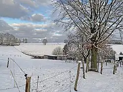 Pferdeweiden nordwestlich Marscheid