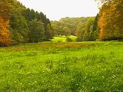 NSG östlich Marscheid