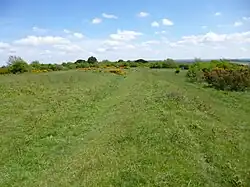 Grim’s Ditch nahe Martin in Hampshire