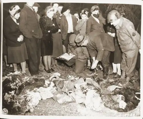 Exhumierung und Identifikation beim Massaker im Arnsberger Wald ermordeter sowjetischen Zwangsarbeiter, 3.&nbsp;Mai 1945