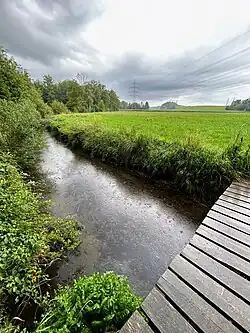 Zufluss Massovkanal im Inhauser Moos