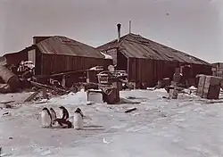 Bild in Schwarz weiß, man sieht in etwa im mittleren Drittel des Bildes zwei Hütten gebaut aus Holz, im Bild schwärzlich, bräunlich zu sehen. Bei der rechten Hütte sieht man links einen Schornstein. Vor den Gebäuden stehen zahlreiche Kisten. Vor diesen Kisten bis zum unteren Bildrand ist Schnee zu sehen. In der unteren linken Bildhälfte sieht man sechs Pinguine, die vom Bildbetrachter aus nach links gehen.