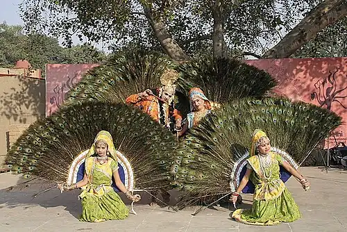 Pfauenfedertanz, Indien (2008)