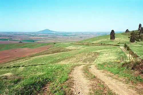 Der Steptoe Butte vom McCroskey State Park aus