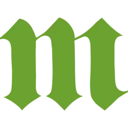 Logo der Michelsenschule Hildesheim