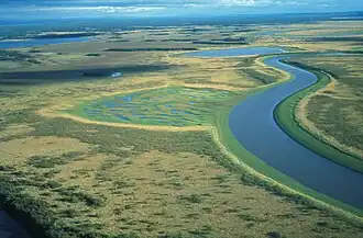 Mäandernder Fluss im Innoko NWR