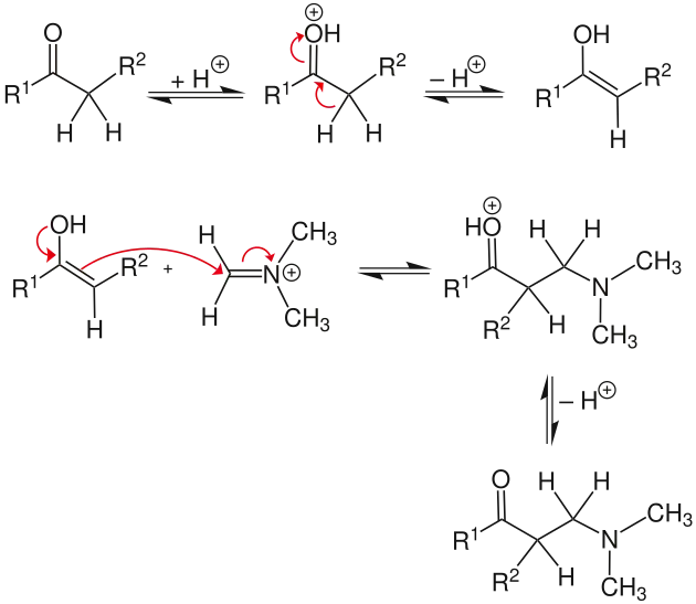 Mechanismus Mannich-Reaktion, Teil 2