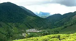 Megamalai – Ortsansicht mit Teeplantagen