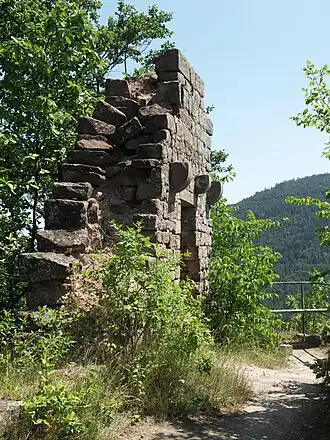 Pallasrest der Meistersel