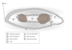 Plan der Allée couverte von Pors Poulhan