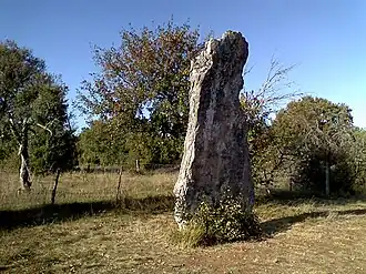 Menhir von Belinac