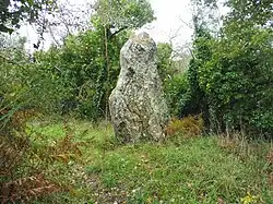 Menhir de Men en Palud