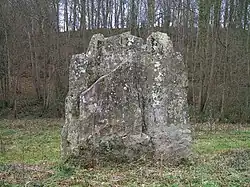 Menhir de Pierrelaye